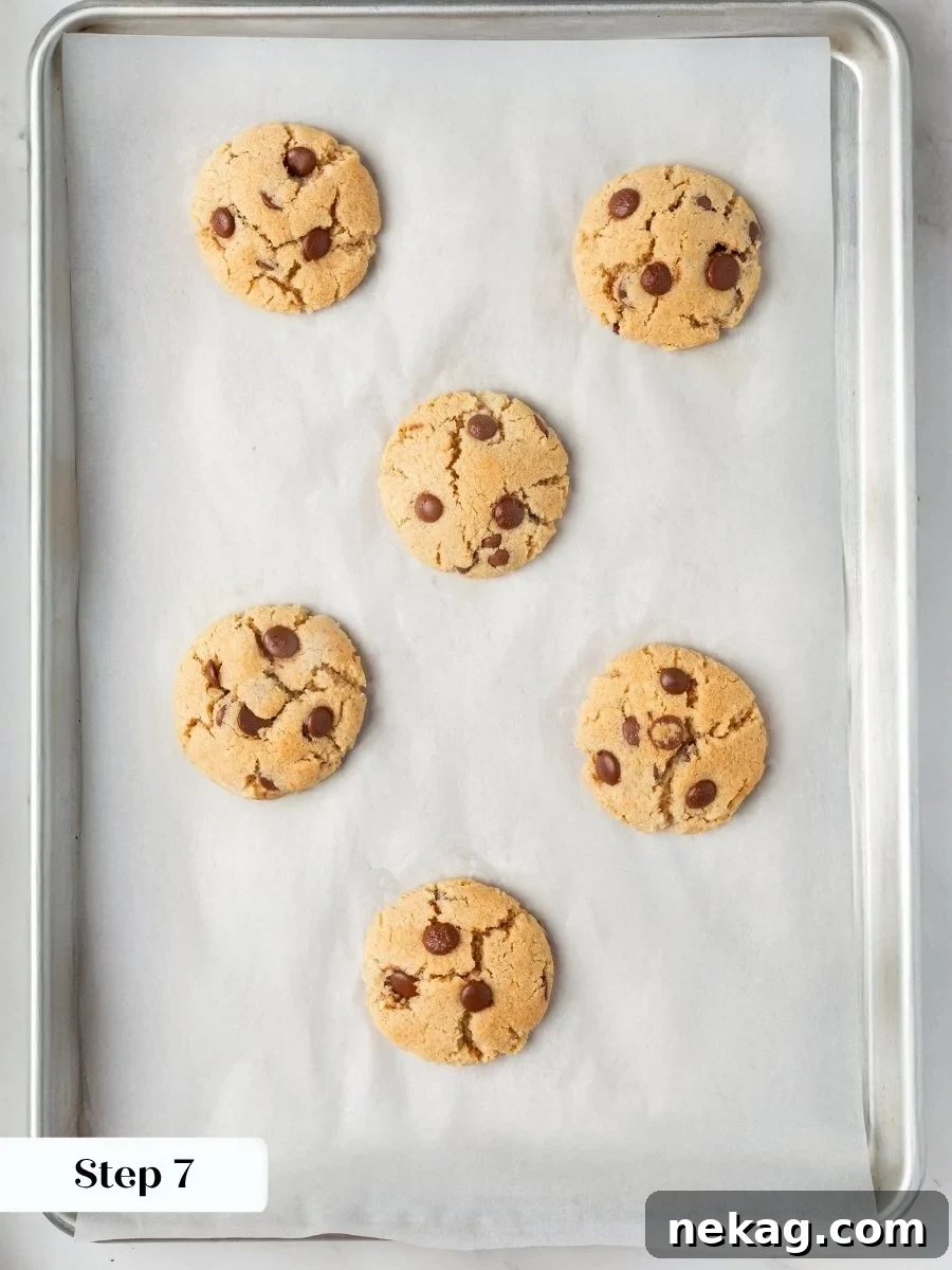 Crackled tops and matte centers tell you the almond flour chocolate chip cookies are perfectly baked.