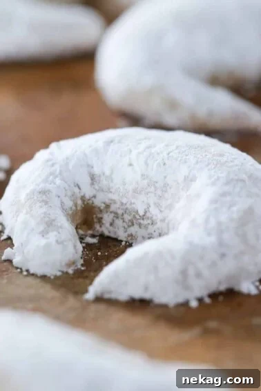 Cardamom Crescent Cookies powdered sugar.