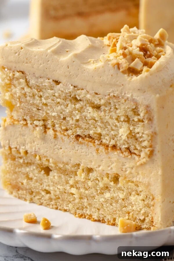 Chewy Peanut Butter Blondies with Chocolate Swirl 10 Slice of peanut butter cake showing tender crumb and frosting.