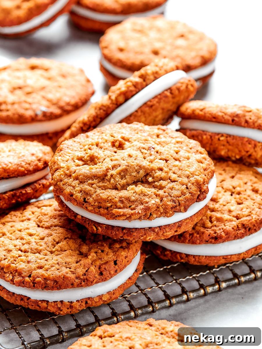 From a hero angle, these oatmeal cream pies show chewy cookies and a generous marshmallow center.