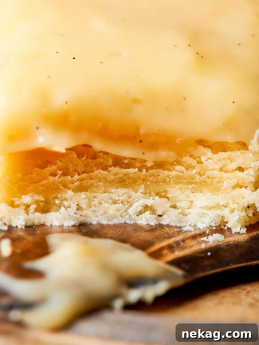 At this distance the fine, sandy crumb that defines pâte sablée is unmistakable.
