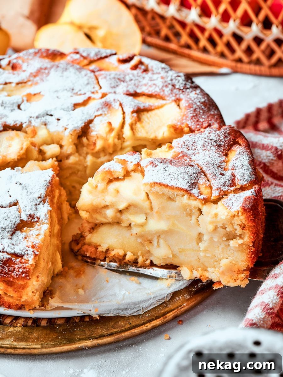 Classic French Apple Cake Recipe 7 Golden top and moist crumb visible together make this slice of french apple cake look irresistible.