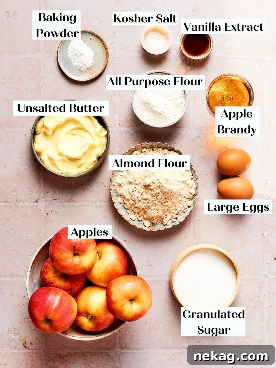 Classic French Apple Cake Recipe 4 Gathered ingredients for french apple cake show the almond flour and apples central to this recipe.