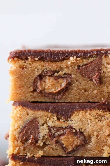 Fudgy Peanut Butter Reeses Chocolate Bars interior detail.