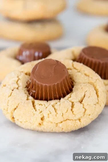 Peanut Butter Cup Blossoms close up.